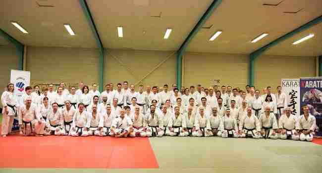 karate custines magnificpopup/kenkyo karate-custines-kenkyo-ml-lupo.jpg